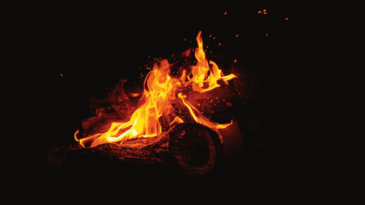 Flame Science 